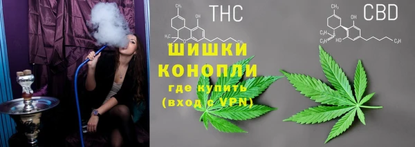 винт Белокуриха