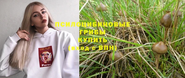 винт Белокуриха