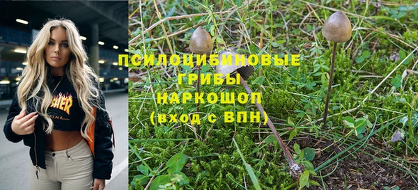 винт Белокуриха