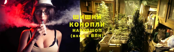 винт Белокуриха