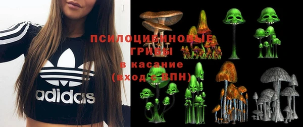 дживик Зеленодольск