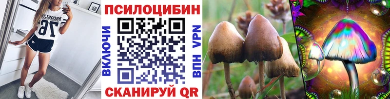 Псилоцибиновые грибы GOLDEN TEACHER  Облучье 